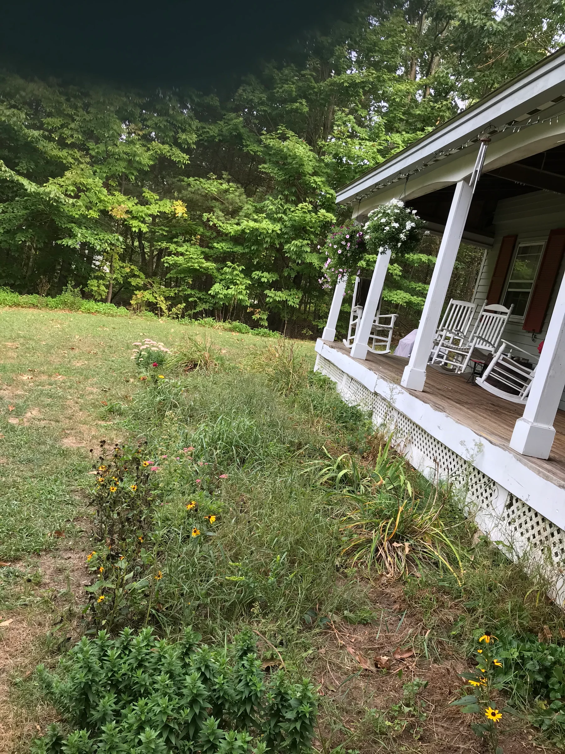 Residential front porch with an established landscaped garden bed