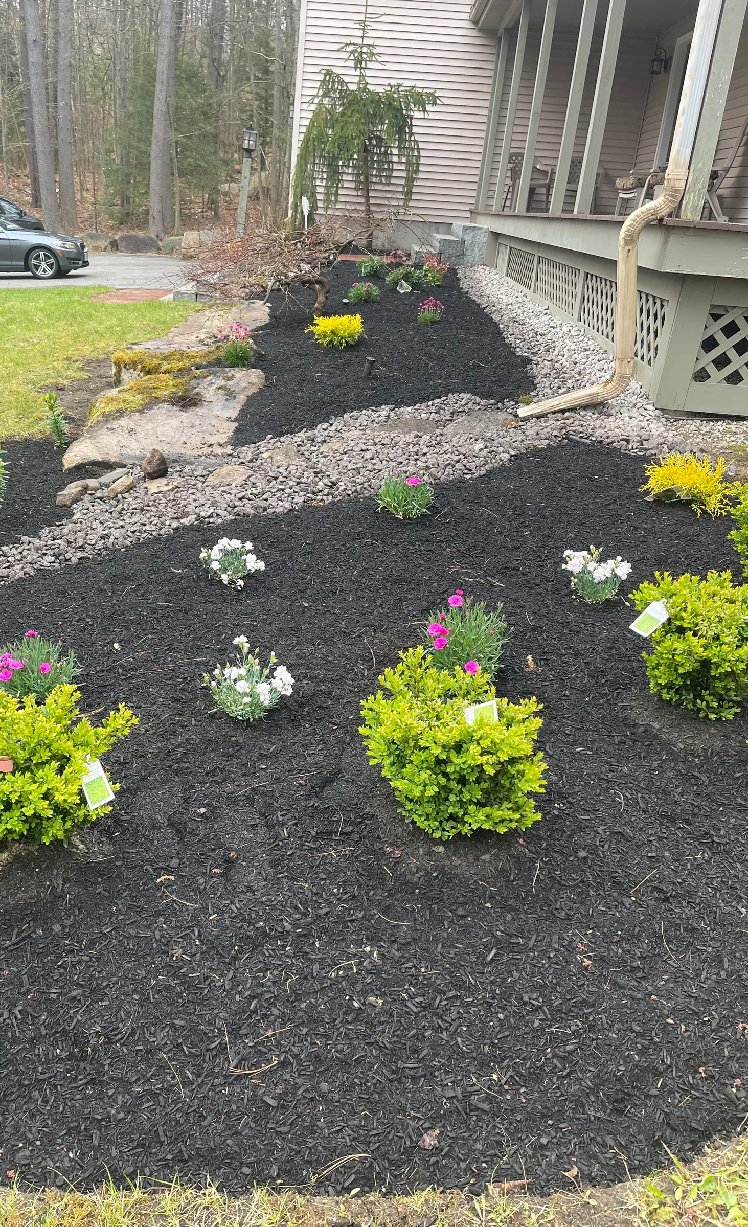 Freshly mulched foundation bed with flowering plants, shrubs, and decorative stone beside a porch