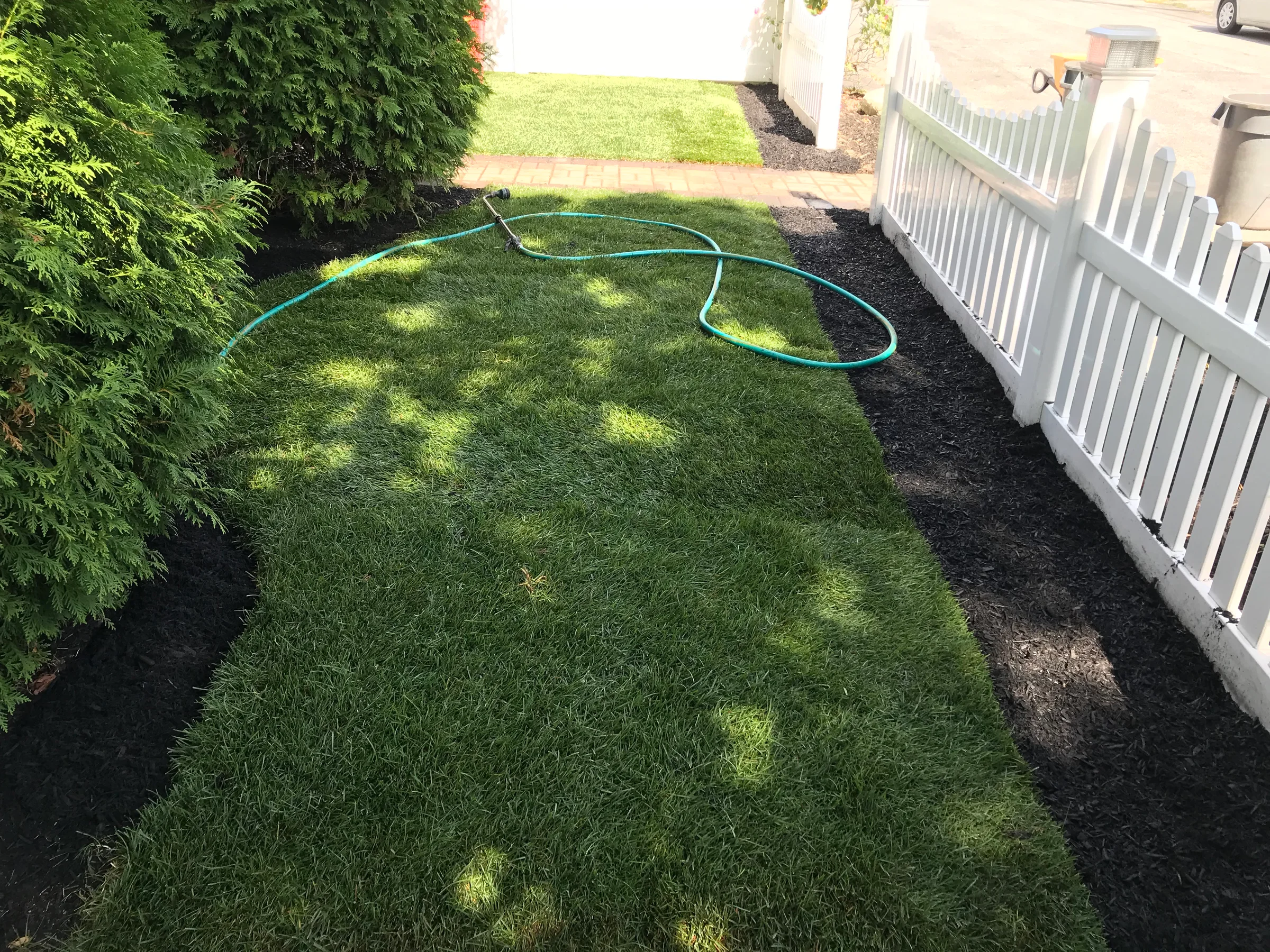 Healthy residential lawn bordered by dark mulch beds and a white fence