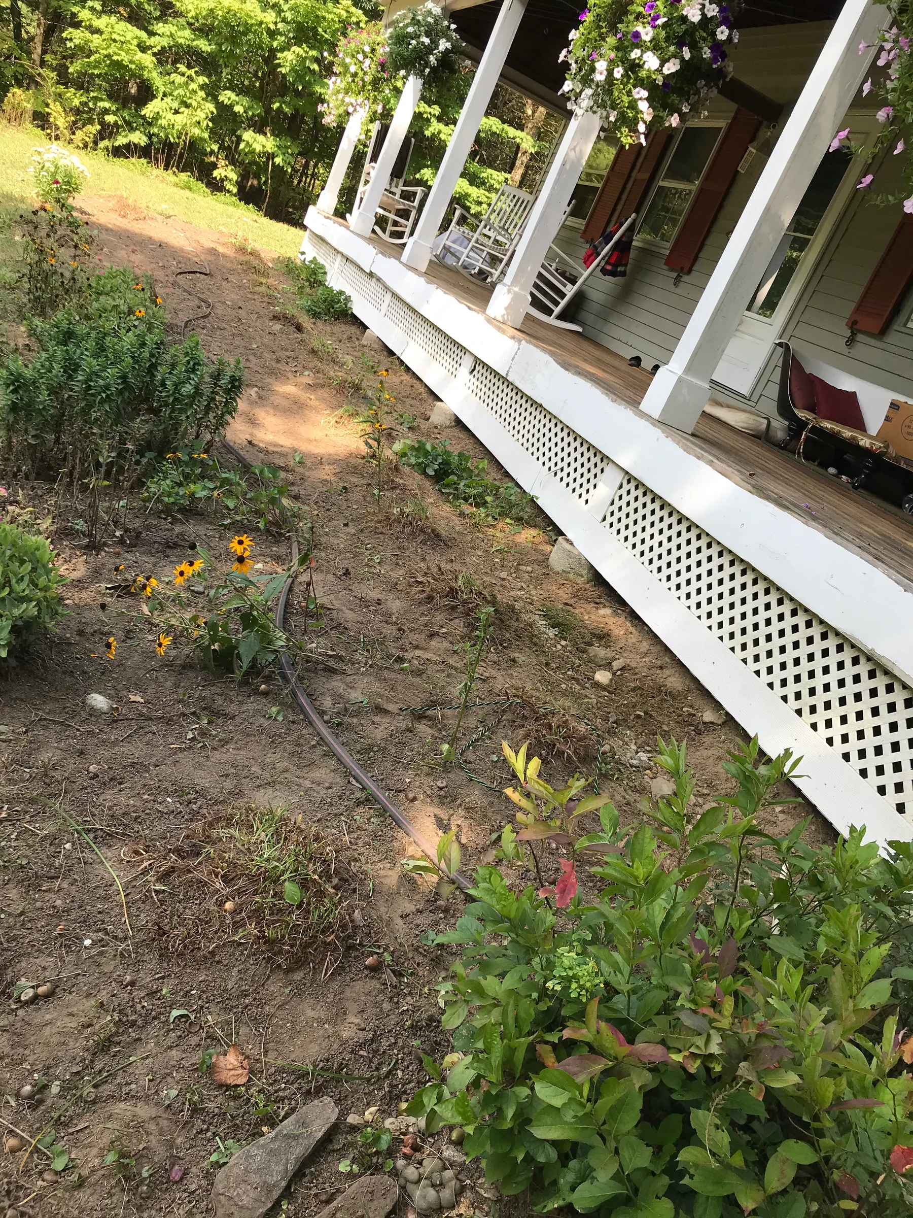 Front porch garden bed with plants, exposed soil, and an irrigation hose